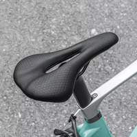 Ascent Bycicle Saddle 2.0